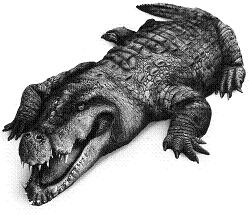 Deinosuchus.JPG