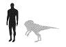 PsiottacosaurusSize.jpg