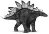 StegosaurusP.JPG